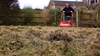 Lawn Scarification  Correct Scarification Procedure [upl. by Lester]