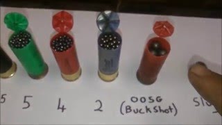 Shotgun Basics shot size [upl. by Laurance658]