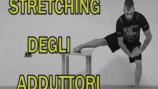 Stretching Parte 5 Adduttori [upl. by Fern868]