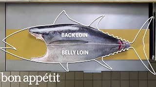 How To Butcher a Whole Tuna Every Cut of Fish Explained  Handcrafted  Bon Appétit [upl. by Nordna]