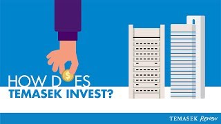 How Does Temasek Invest [upl. by Jeggar]