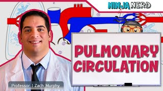 Circulatory System  Pulmonary Circulation [upl. by Shrier]