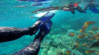 Amazing Snorkeling in BALI NUSA PENIDA  MANTA RAY [upl. by Osric]