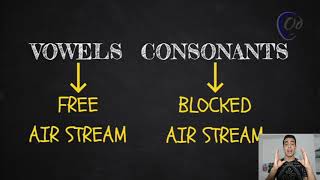 5 Difference between consonants and vowels [upl. by Nomelc]