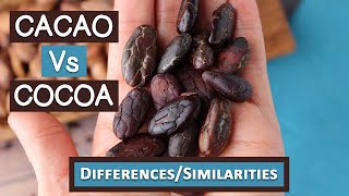 Cacao Vs Cocoa Top 6 Differences and Similarities [upl. by Nnayrb]