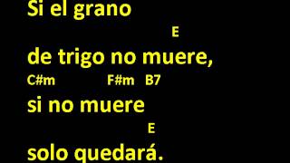 CANTOS PARA MISA  ENTRE TUS MANOS  LETRA Y ACORDES  OFERTORIO  CUARESMA Y ORDINARIO [upl. by Sivat]