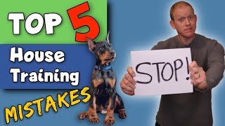 STOP Making These Potty Training Mistakes Doberman Puppy Training [upl. by Polak]