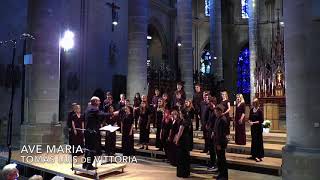 A Renaissance sequence Palestrina Byrd Tallis Vittoria Parsons — Germany Tour 2018 [upl. by Eneladgam]