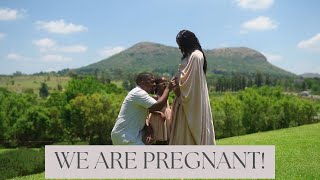 We Are Pregnant  Mini Life Update [upl. by Trauner515]