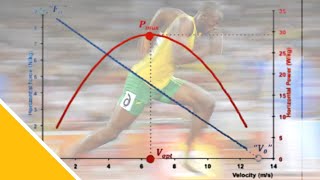 Sprint Biomechanics Force Assessment  Prof JB Morin [upl. by Sivart]