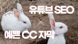 대부분 안하는 유튜브 SEO 비법 CC 자막을 사용해야 하는 이유  음성 인식 자동 CC 자막 생성 및 번역 프로그램 다운캡 활용법 [upl. by Neirbo]