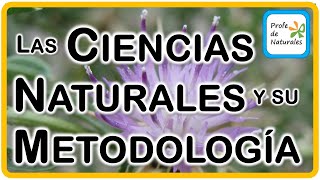 Las Ciencias Naturales y su Metodología [upl. by Hiett]