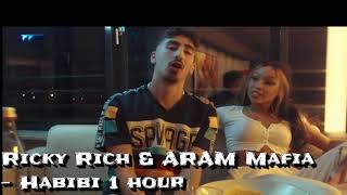 Ricky Rich amp ARAM Mafia  Habibi 1 hour [upl. by Nnaeirb291]