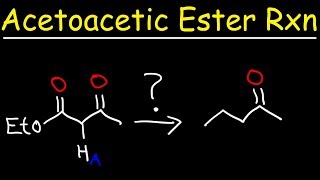 Acetoacetic Ester Synthesis Reaction Mechanism [upl. by Annavaig]