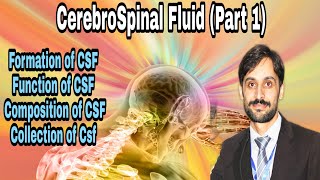 Cerebrospinal Fluid Flow by Tad Wanveer [upl. by Erda]