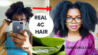 4 WAYS to use ALOE VERA to ACCELERATE HAIR GROWTH 4C ALOE VERA OIL FOR HAIR GROWTH LEAVE IN amp MORE [upl. by Lyrac]