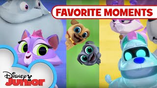 Puppy Playcare Part 1 🐾 Compilation  Puppy Dog Pals  Disney Junior [upl. by Ashjian402]