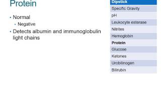 How to Read a Urinalysis Result [upl. by Anor347]