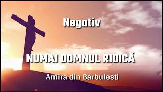 NegativNUMAI DOMNUL RIDICAAmira din Barbulesti [upl. by Raynard]