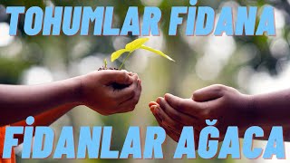 🌼TOHUMLAR FİDANA FİDANLAR AĞACA AĞAÇLAR ORMANA DÖNMELİ YURDUMDA ŞARKISI DİNLE  SÖZLERİ  OKUNUŞU [upl. by Dnilasor]