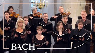 Bach  Motet Ich lasse dich nicht BWV anh 159  MacLeod  Netherlands Bach Society [upl. by Yanad]