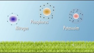 Soil Nutrients  From the Ground Up [upl. by Itnavart705]