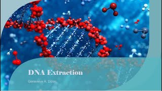 DNA Extraction [upl. by Rengia]