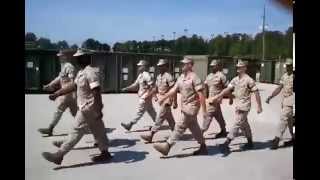 USMC US Marine Corps Marching Cadence [upl. by Maddie718]