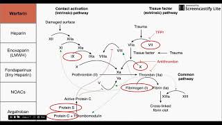 Anticoagulant Drugs [upl. by Epner588]