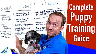 Your Complete Puppy Training Schedule By Age [upl. by Soble]