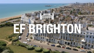 EF Brighton – Campus Tour [upl. by Susejedairam]