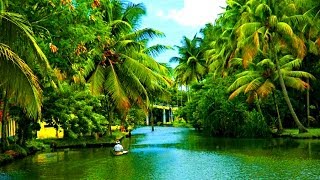 Alleppey Backwaters Kerala India  2014 [upl. by Pepita683]