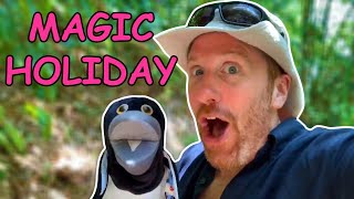 Magic Holiday with Steve and Maggie  English for kids  Jungle Journey [upl. by Cavill188]