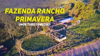 Imperdível  Fazenda Rancho Primavera  Onde nosso sonho começou [upl. by Cown]