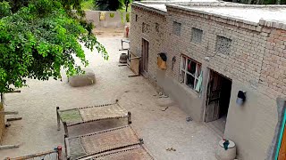 Punjab Village Houses amp Beautiful Scenes  Rural Life In Pakistan [upl. by Moyna]