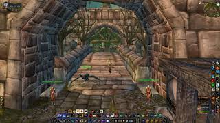 How to learn Expert First Aid 150  225 skill Alliance WoW Classic [upl. by Haimorej]