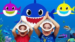 Baby Shark Dance 2  Sing and Dance  Animal Songs  동요와 아이 노래  어린이 교육 [upl. by Quiteri]