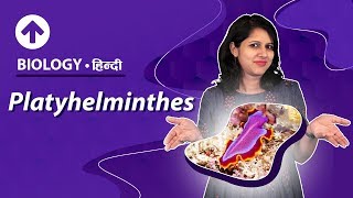 Platyhelminthes  Hindi  Diversity In Living Organisms  Biology Class 9 [upl. by Nodarb370]