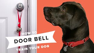 How To Door Bell Train Your Dog [upl. by Anyale]