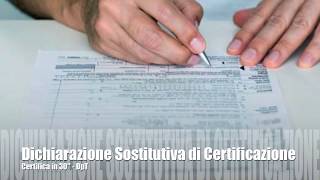 COME FARE Dichiarazioni Sostitutive di Certificazione MiniGuida [upl. by Dygall]