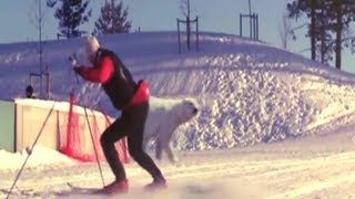 The Most Funniest Ski Fails Compilation [upl. by Ahsino]