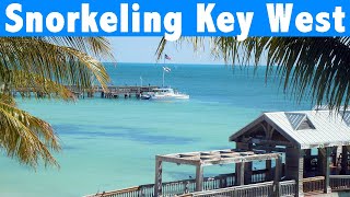 Snorkeling In Key West Reefs and Marine Life  All You Need To Know In 4 Minutes [upl. by Juni188]