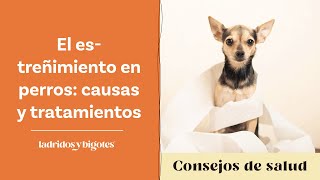 El estreñimiento en perros causas y tratamientos [upl. by Kirred]