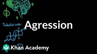 Aggression  Individuals and Society  MCAT  Khan Academy [upl. by Elsbeth]