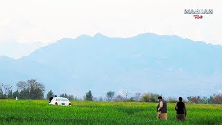 VILLAGE LIFE IN PAKISTAN [upl. by Katerina]