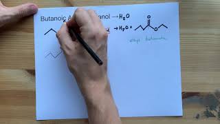 Butanoic Acid  Ethanol  Ester Reaction with Mechanism [upl. by Beshore950]