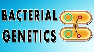 Transformation Conjugation Transposition and Transduction [upl. by Einner]