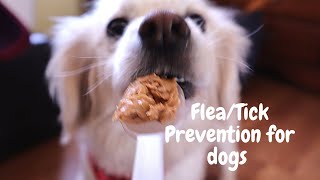 Simparica FleaTick Prevention for dogs [upl. by Aleirbag374]