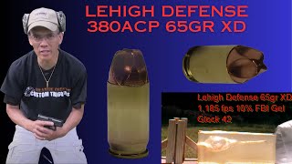 Lehigh Defense 380ACP 65gr Xtreme Defense vs Federal Hydra Shok Glock 42 Sheet Metal Test [upl. by Lerrej265]