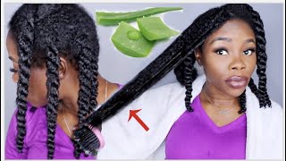 3 WAYS TO USE ALOE VERA FOR EXTREME HAIR GROWTH  MOISTURIZE DETANGLE PREPOO [upl. by Fitzhugh249]